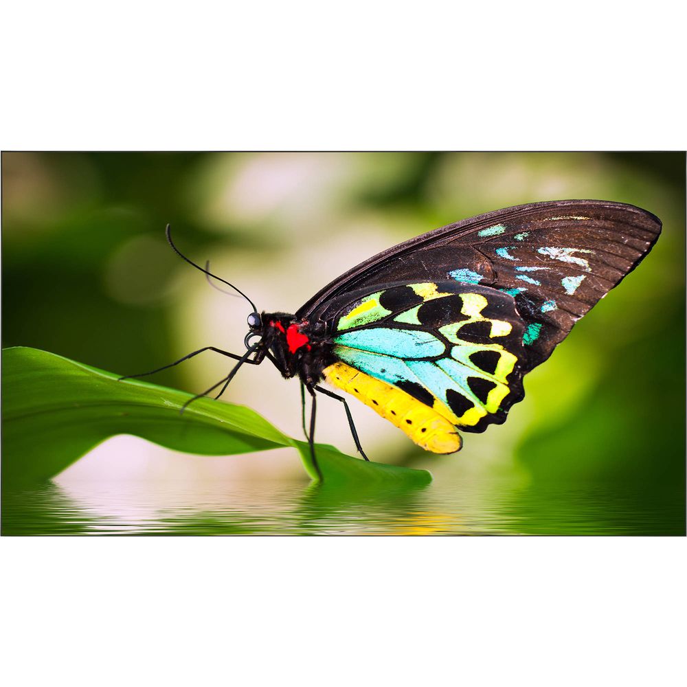 NEC MultiSync UN552 Pantalla de pared de video comercial Full HD de 55&quot; Clase