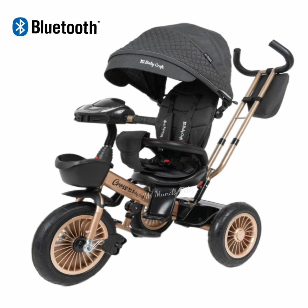 Triciclo Para Bebe Asiento Giratorio Dorado Black I Oechsle Oechsle