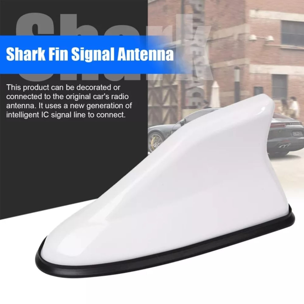 image-6f250fa80e50414c8fcf11d1aa3570f6 image-6f250fa80e50414c8fcf11d1aa3570f6