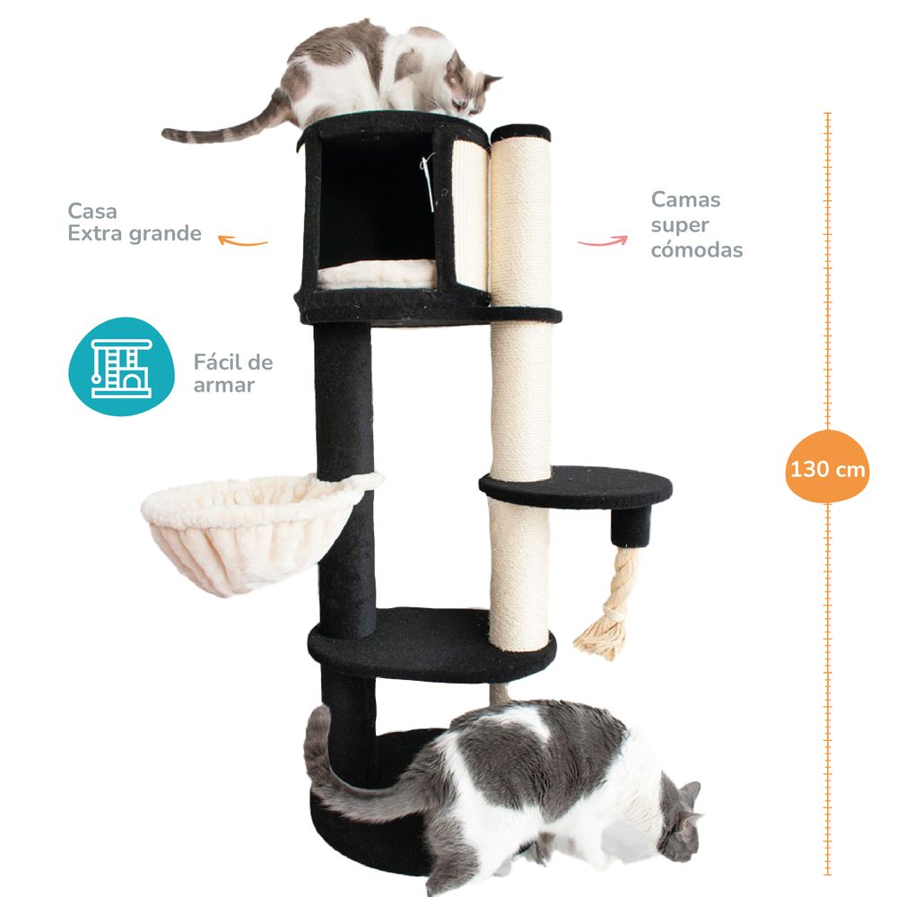 image-46a7dcc0c7254395a1b74c2fadd1ee44 image-46a7dcc0c7254395a1b74c2fadd1ee44