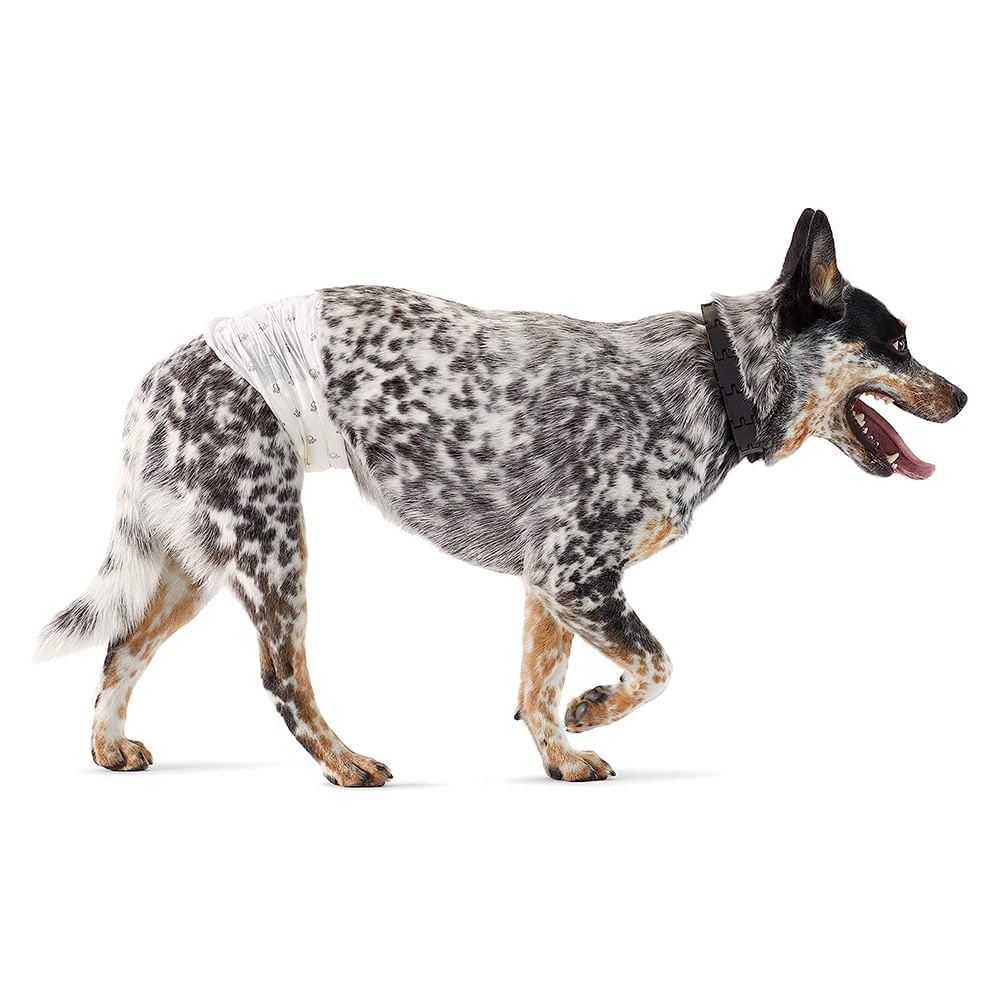 image-7515770e0d224791aa53e80ba7673c67 image-7515770e0d224791aa53e80ba7673c67