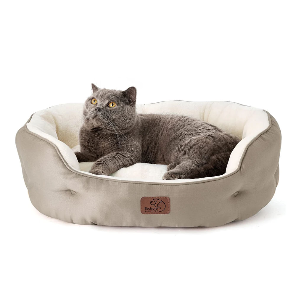 image-98ad724639b7448e8982e06742bbc092 image-98ad724639b7448e8982e06742bbc092