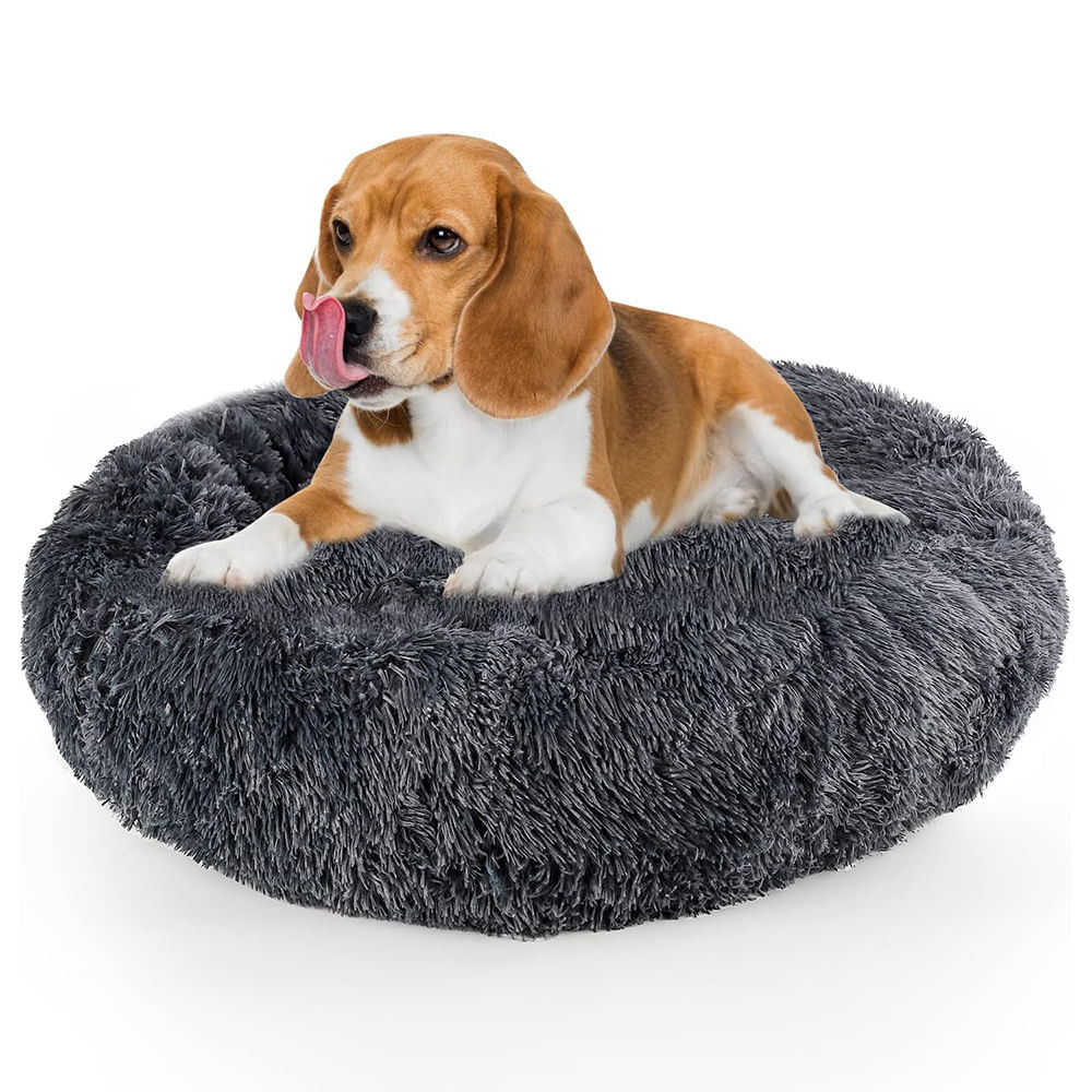 image-10c190880a124878be119efa5cd7348d image-10c190880a124878be119efa5cd7348d