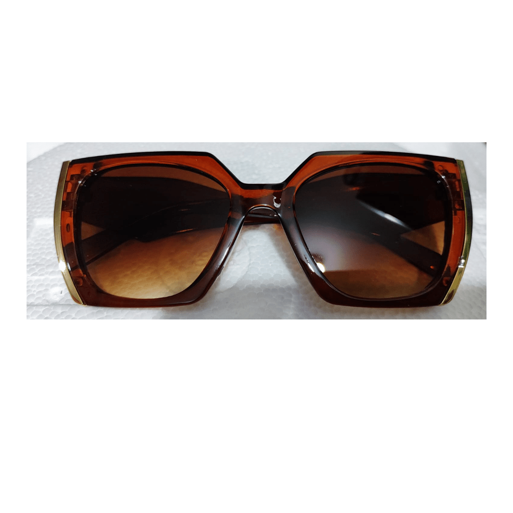 Lentes de Sol Unisex Vintage Marron PL997