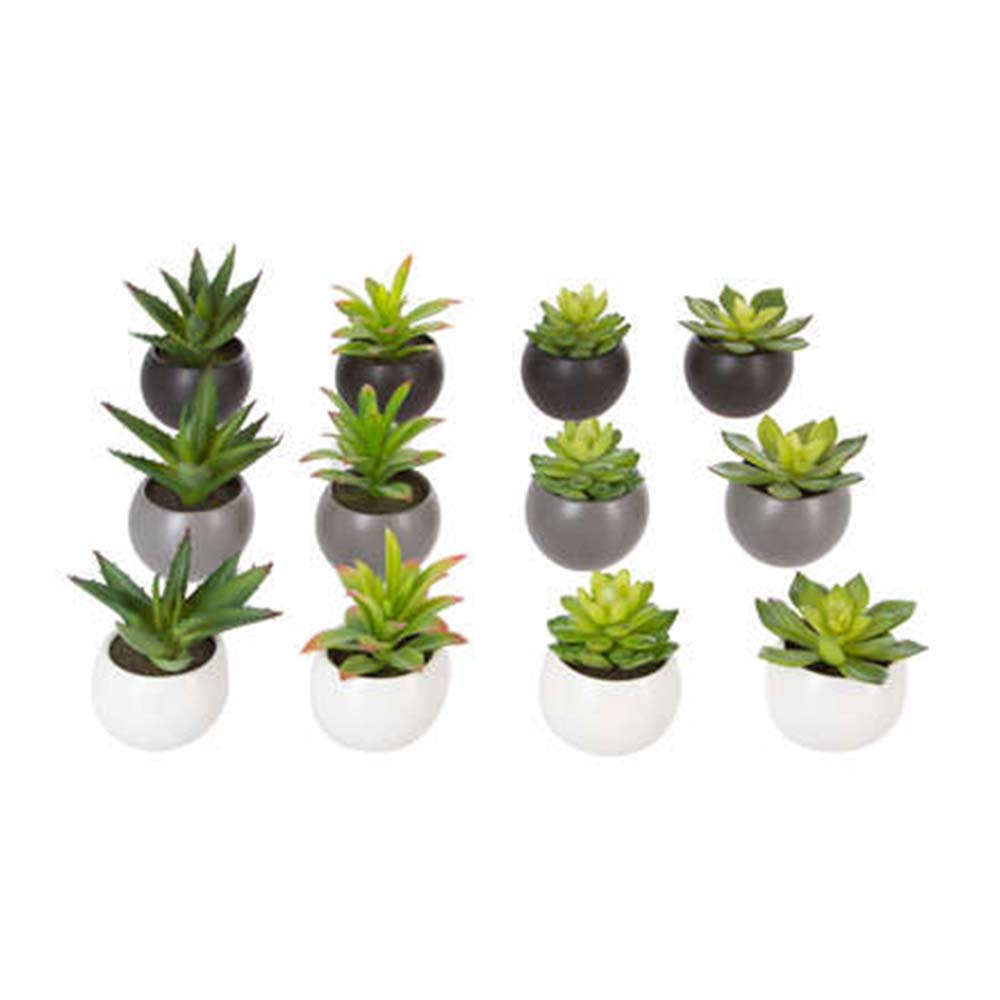 Planta Artificial Gorda en Maceta Atmosphera Multicolor de Poliéster 13cm