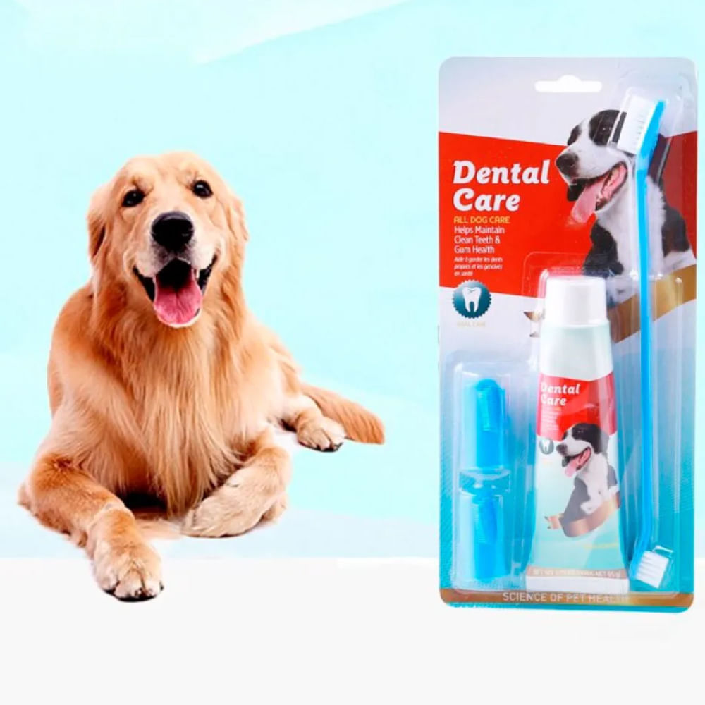 necesitas pasta de dientes para perros