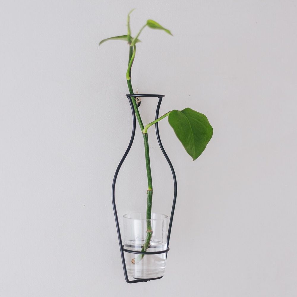 image-00625acb5b9948d2937452bc73c85a66 image-00625acb5b9948d2937452bc73c85a66