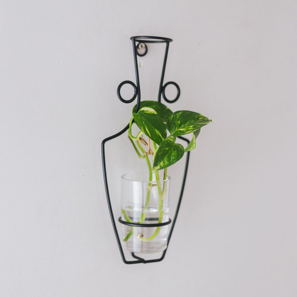 image-34d7bd2012484fb2b4979fbc6ae78af6 image-34d7bd2012484fb2b4979fbc6ae78af6