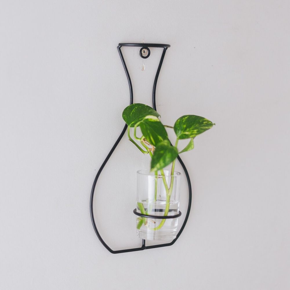 image-67cd6168b0564d80b175698b6decfa73 image-67cd6168b0564d80b175698b6decfa73