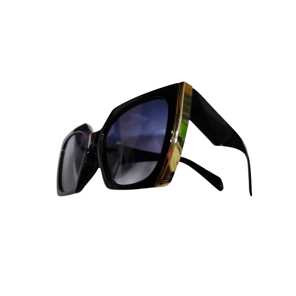 Lentes de Sol Unisex Vintage Negro PL997 Negro