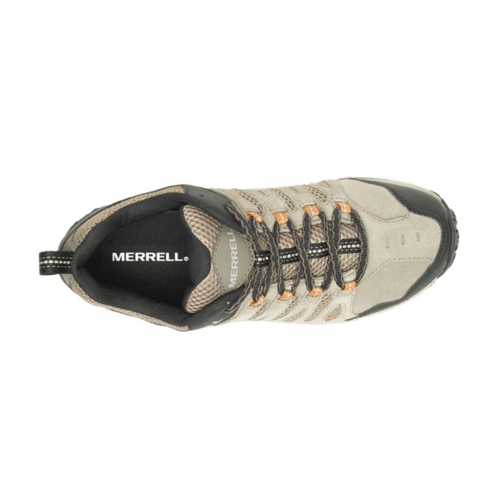Zapatos MERRELL Hombre (Cuero - Marrón - 41)
