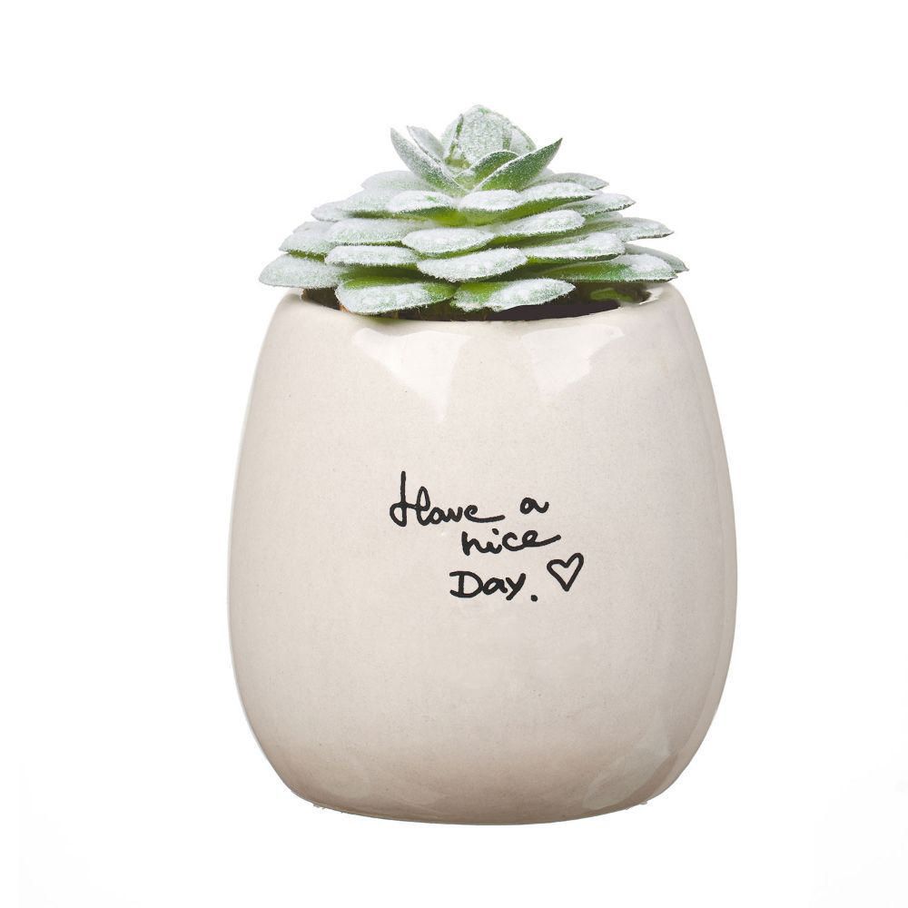 Suculenta Have A Nice Day 10Cm