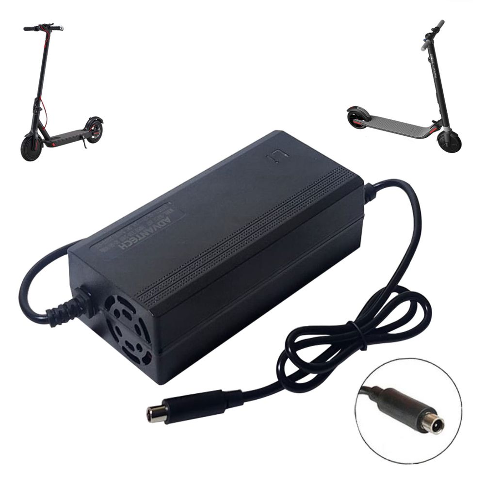 image-715acf454a3d4a2c969082e99d321819 image-715acf454a3d4a2c969082e99d321819