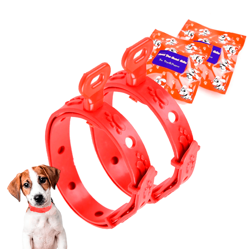 image-99d474226fc94c28850b903c3617ba3b image-99d474226fc94c28850b903c3617ba3b