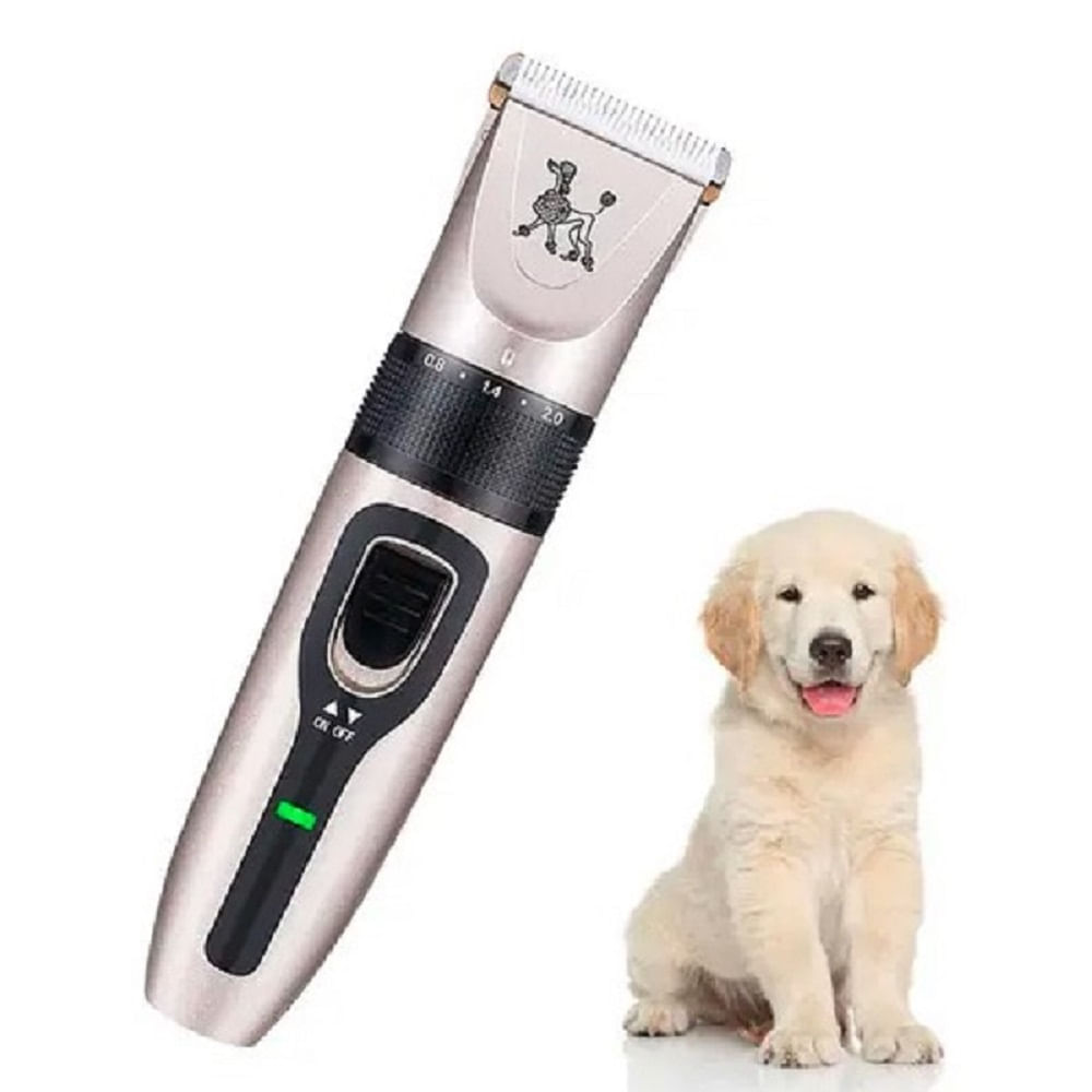 image-81bd40dbcb004c4ea613c9971c4c4874 image-81bd40dbcb004c4ea613c9971c4c4874