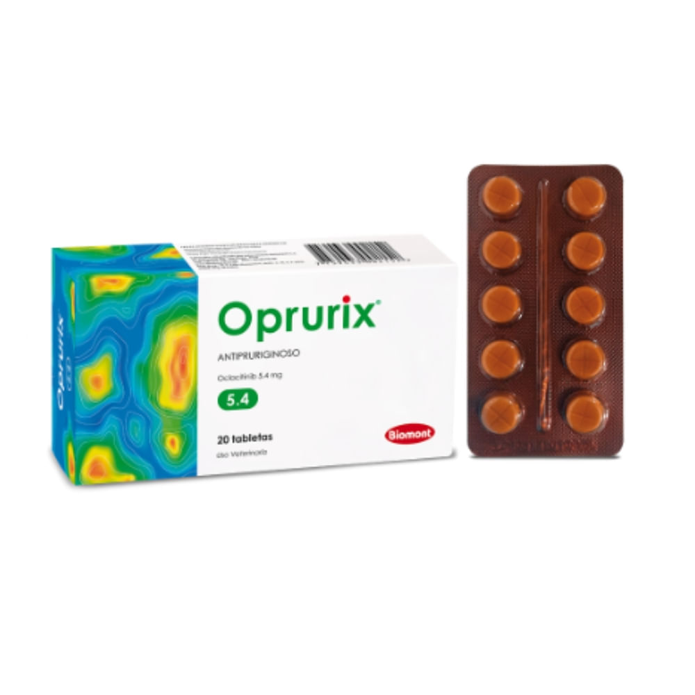 image-fb364023a1534a768a317372f8c7281d image-fb364023a1534a768a317372f8c7281d