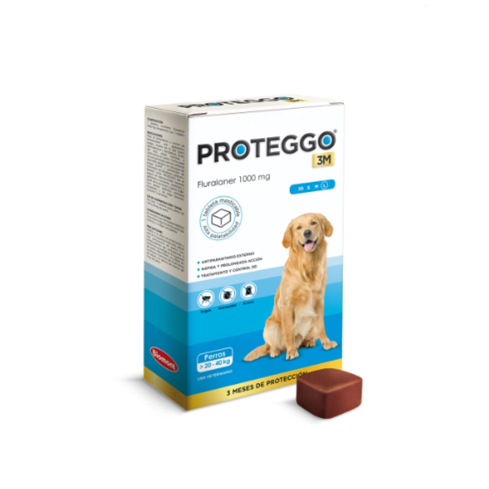 image-417bb2f7f10f405398e09aaf9d7f56dc image-417bb2f7f10f405398e09aaf9d7f56dc