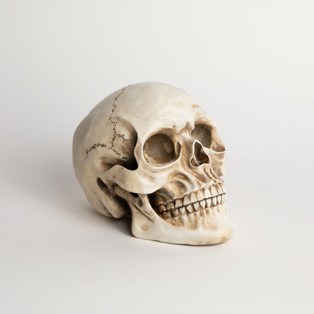 Calavera 19x14x11 cm Resina Frank & Mortis Halloween