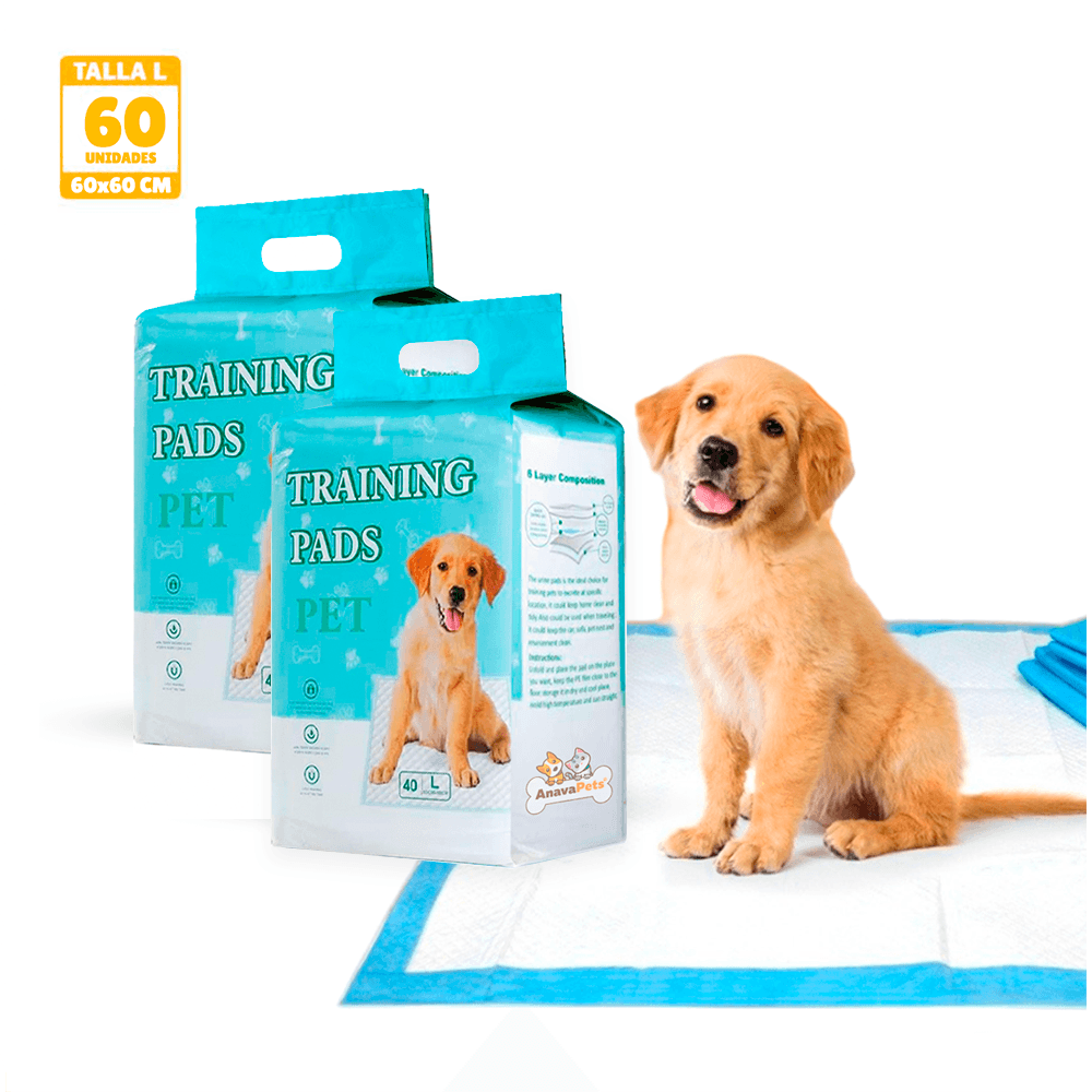 image-d2498d75af2140c8a6294e70f510d2f3 image-d2498d75af2140c8a6294e70f510d2f3