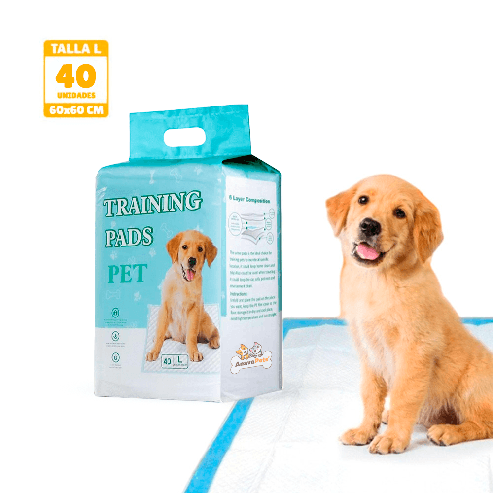 image-7cc900ce7ceb4fe5aae6203f2d41f291 image-7cc900ce7ceb4fe5aae6203f2d41f291