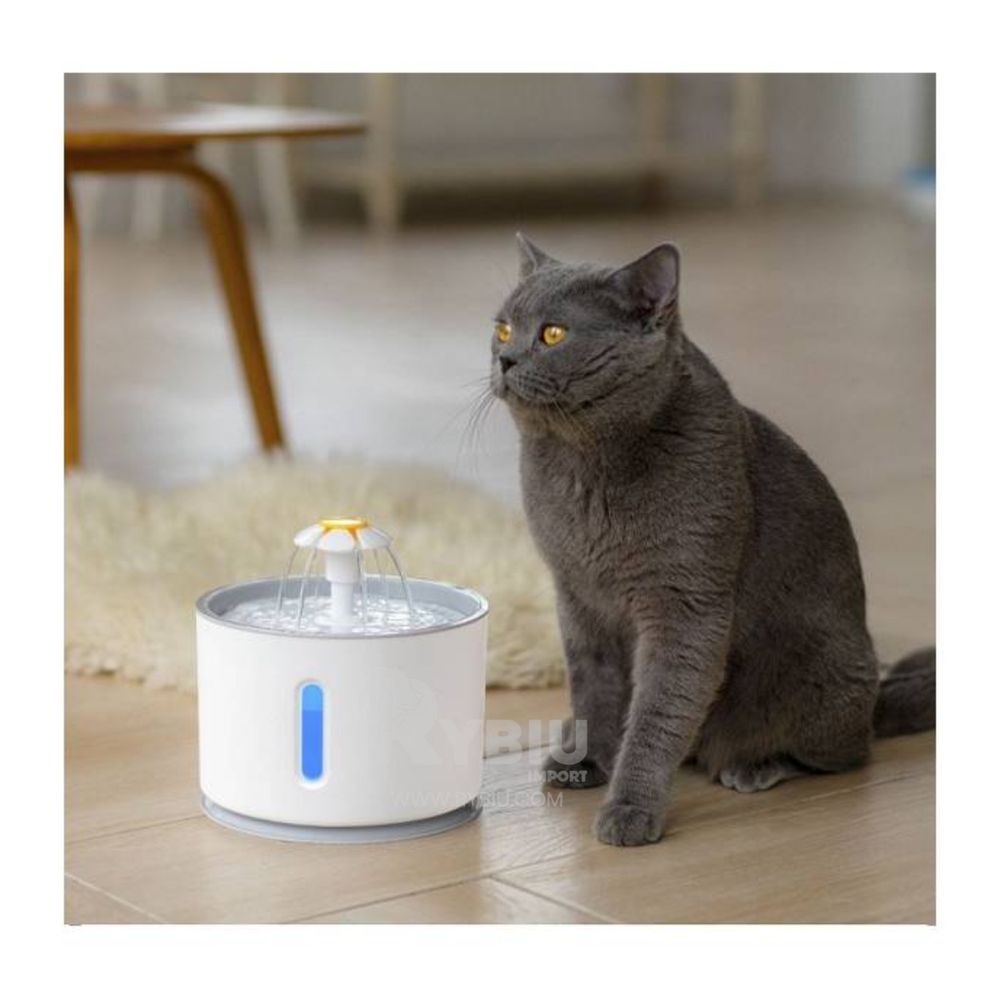 image-9495f13c46364f24863113867ae66d02 image-9495f13c46364f24863113867ae66d02