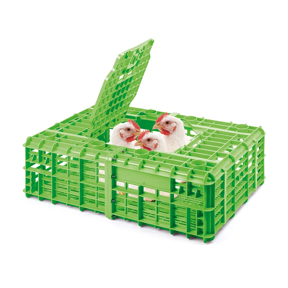 Jaba de pollo vivo pesada Polinplast