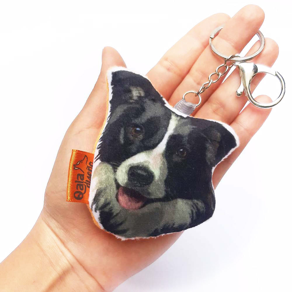 image-d7ba860509b34789b0e1592cbe9bffb7 image-d7ba860509b34789b0e1592cbe9bffb7