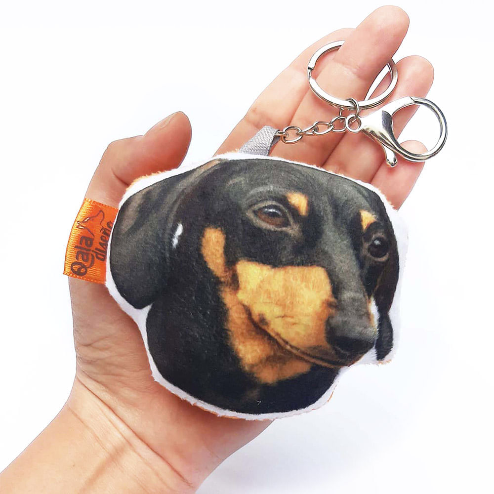 image-dc6ae3b1cd1a4662816252f1cd73e243 image-dc6ae3b1cd1a4662816252f1cd73e243