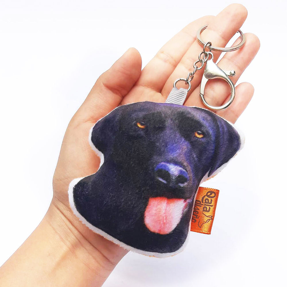 image-c0d2aad9e8e143a38d06b3f359b90f66 image-c0d2aad9e8e143a38d06b3f359b90f66