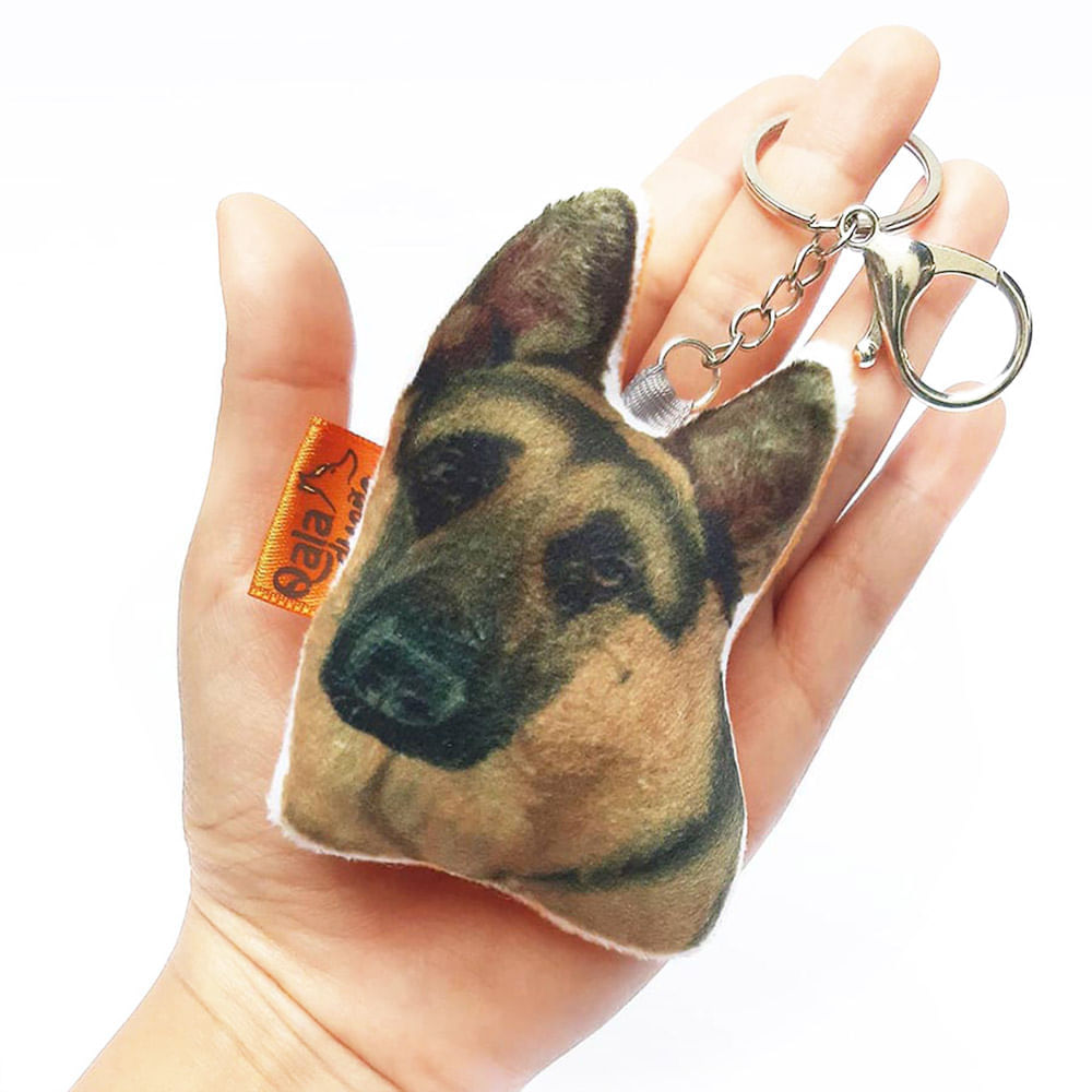 image-a687ab5b48584bb48a2243616506d26b image-a687ab5b48584bb48a2243616506d26b