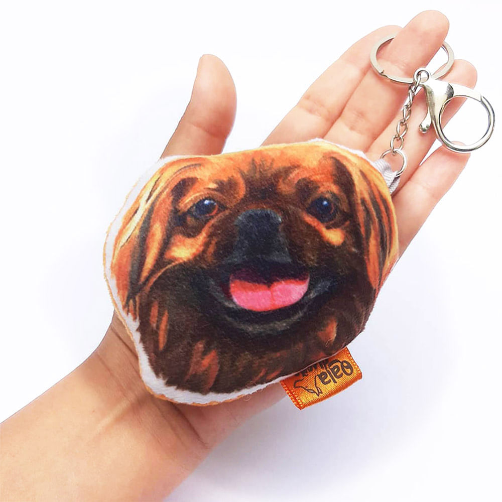 image-881d69ad49334566b67f3be3ff20611b image-881d69ad49334566b67f3be3ff20611b