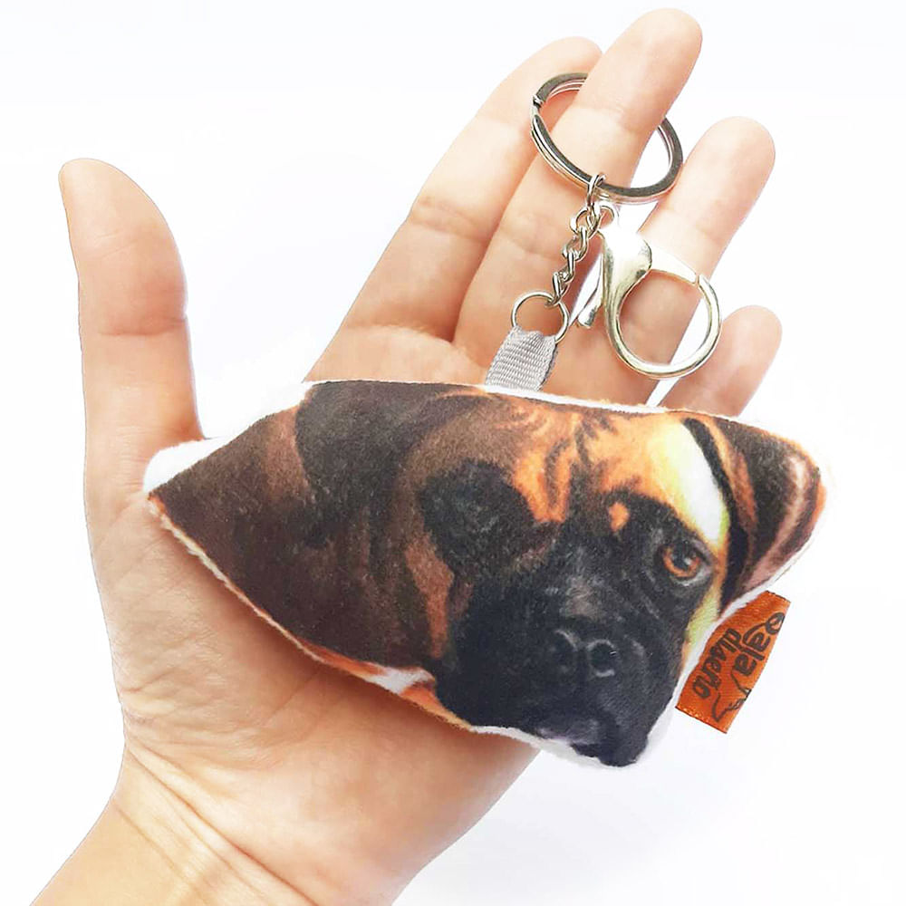 image-eb2279fae1d74f8689a0bcd1edd8ef82 image-eb2279fae1d74f8689a0bcd1edd8ef82