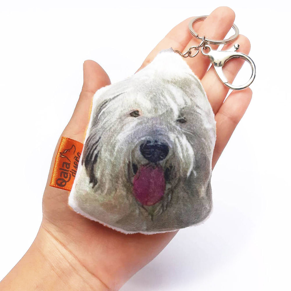 image-3d4a3b83208a42cfb1c190eed84bddc8 image-3d4a3b83208a42cfb1c190eed84bddc8