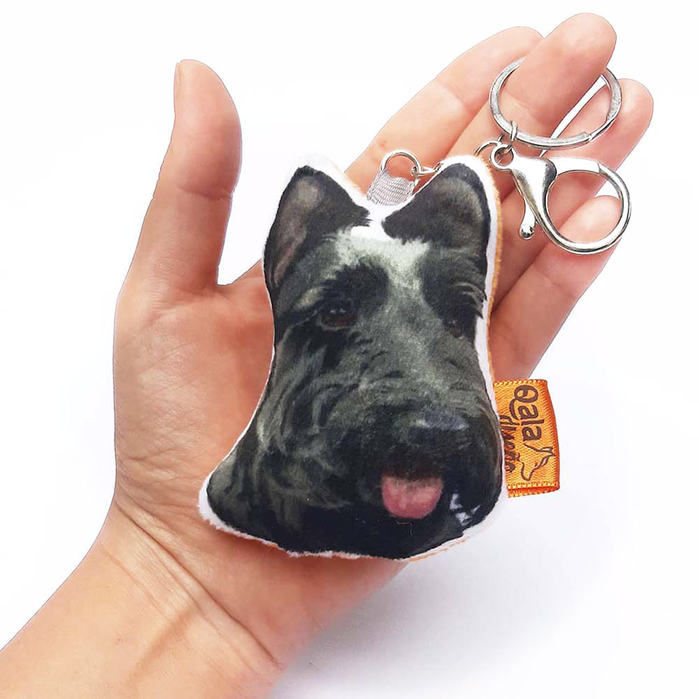 image-e4c82206053d42b296c6d0e612529c8d image-e4c82206053d42b296c6d0e612529c8d