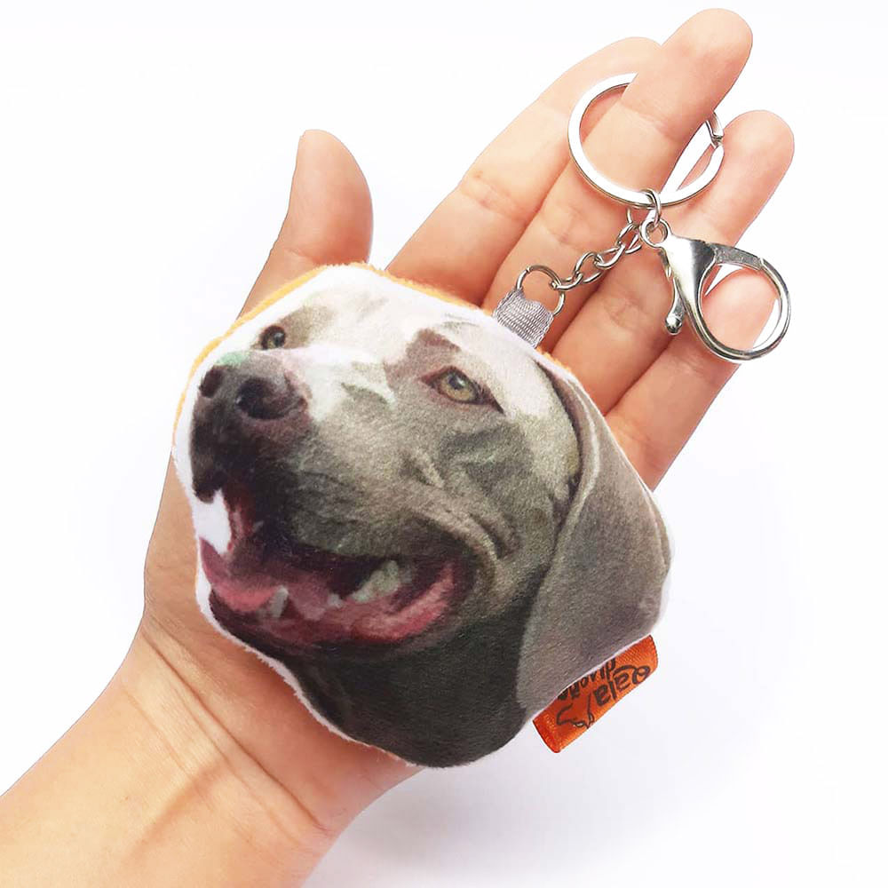 image-bbeeced7949041798ab1c4b1bb012385 image-bbeeced7949041798ab1c4b1bb012385