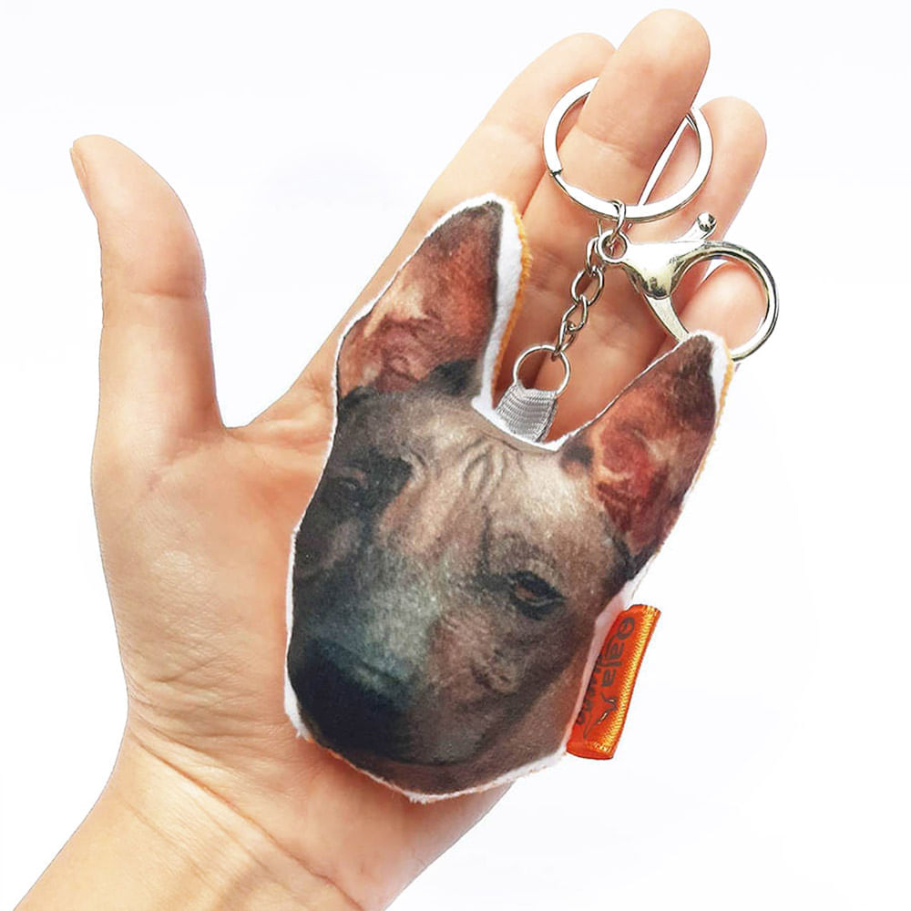 image-a144ca0928af4c938246b8cb6aeeb5d4 image-a144ca0928af4c938246b8cb6aeeb5d4