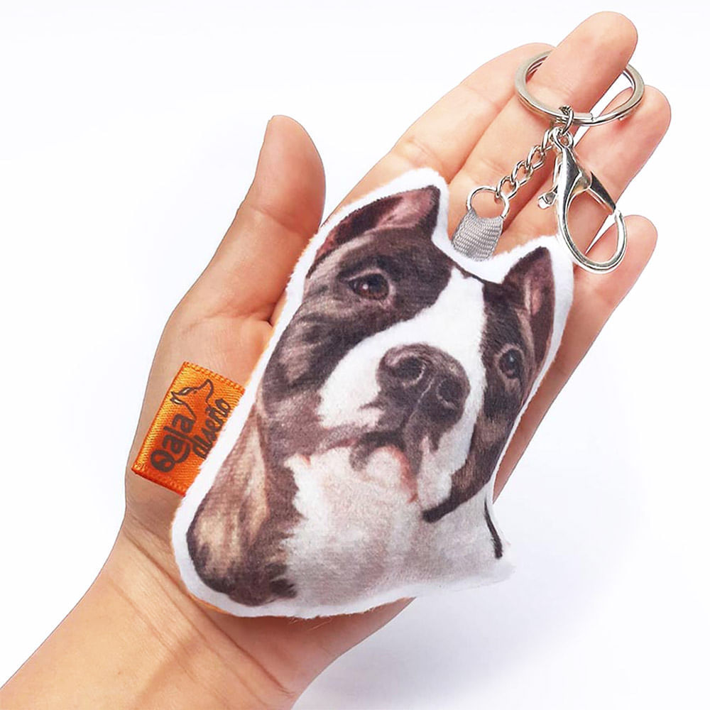 image-1e7b0927adb04645bf05311fc9ca2dbe image-1e7b0927adb04645bf05311fc9ca2dbe