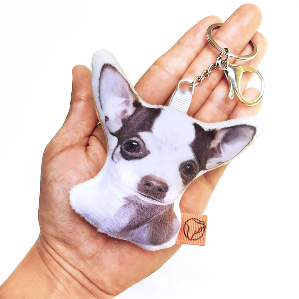 image-74fa1acf39704d9c8ba2f1d027b329ea image-74fa1acf39704d9c8ba2f1d027b329ea