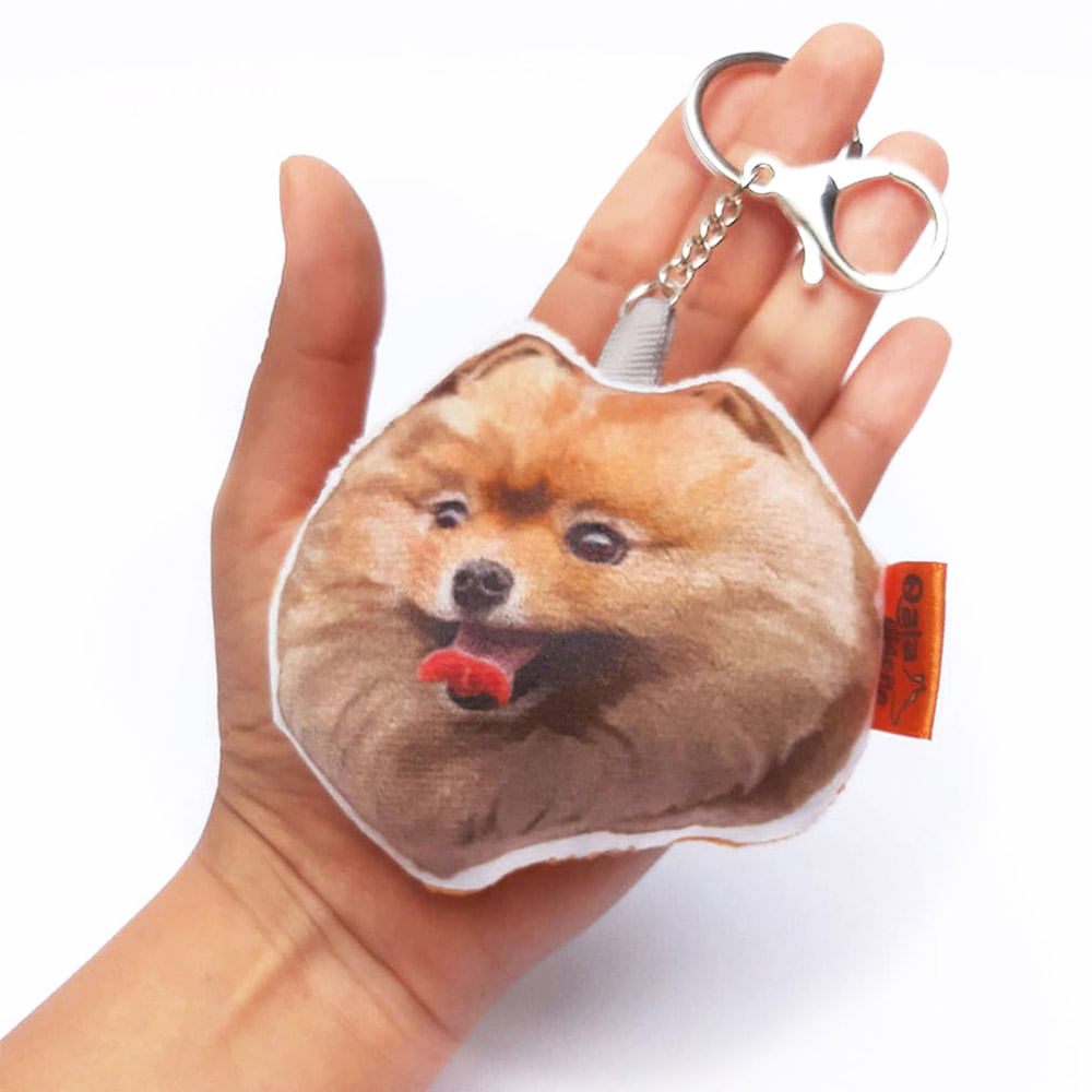 image-65bd103b0d9344aba906f4370159b6e0 image-65bd103b0d9344aba906f4370159b6e0