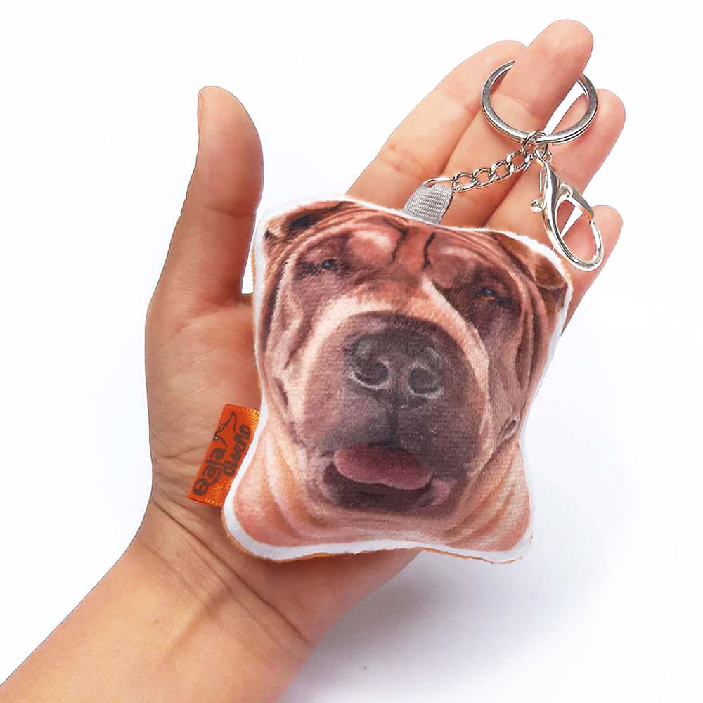 image-529540151bc84ba786076eb20d42a838 image-529540151bc84ba786076eb20d42a838