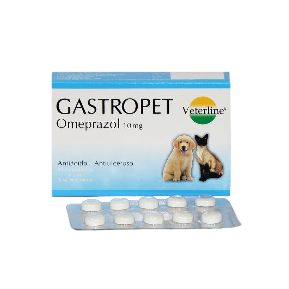 image-b3f6285c61e648099a05ce099ca780df image-b3f6285c61e648099a05ce099ca780df