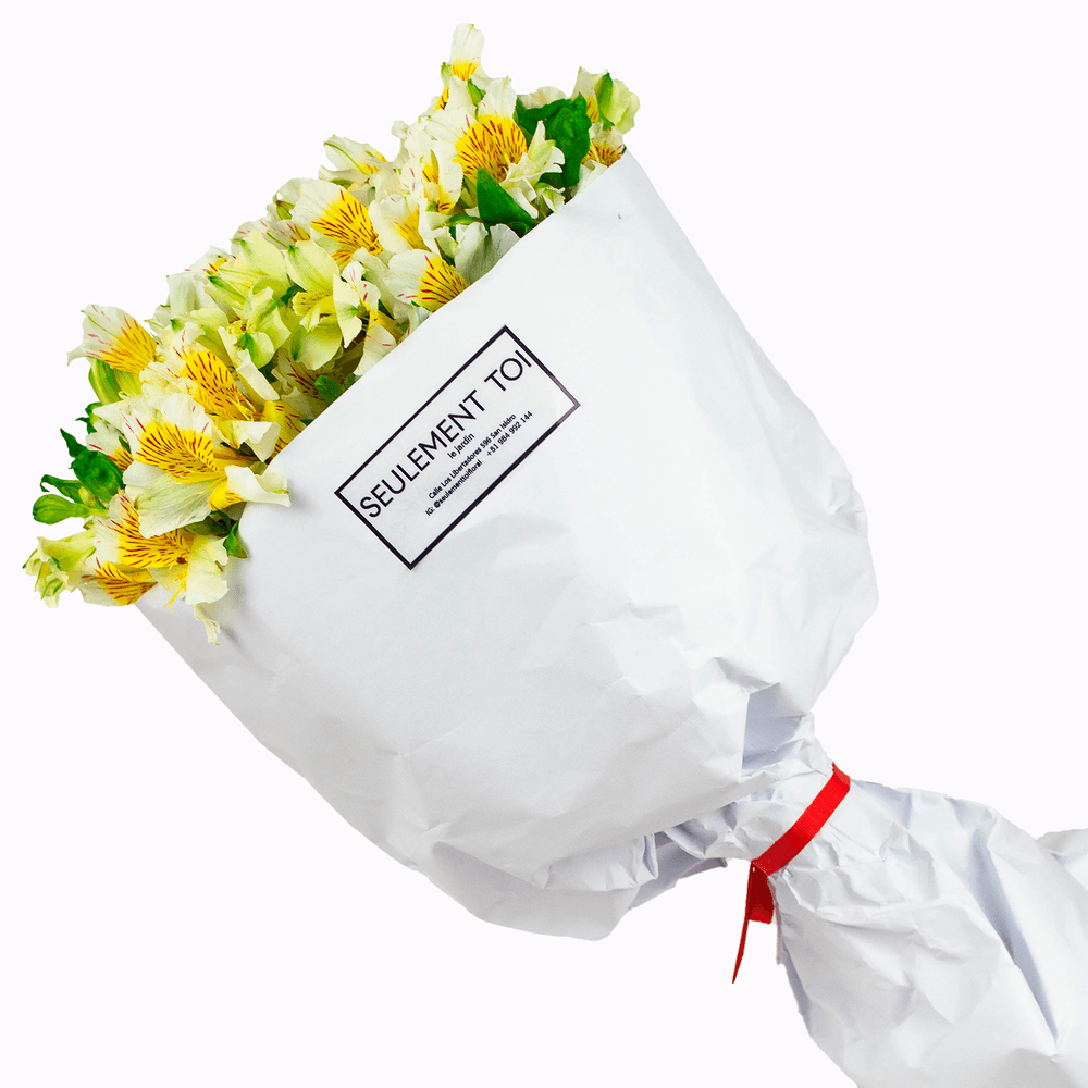 image-7eda0607019b4346b09258fef9eb97ce image-7eda0607019b4346b09258fef9eb97ce