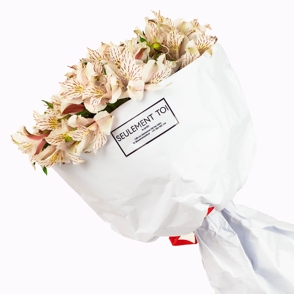 image-fe0bcc34c96f4802979eee3a67fe9af4 image-fe0bcc34c96f4802979eee3a67fe9af4