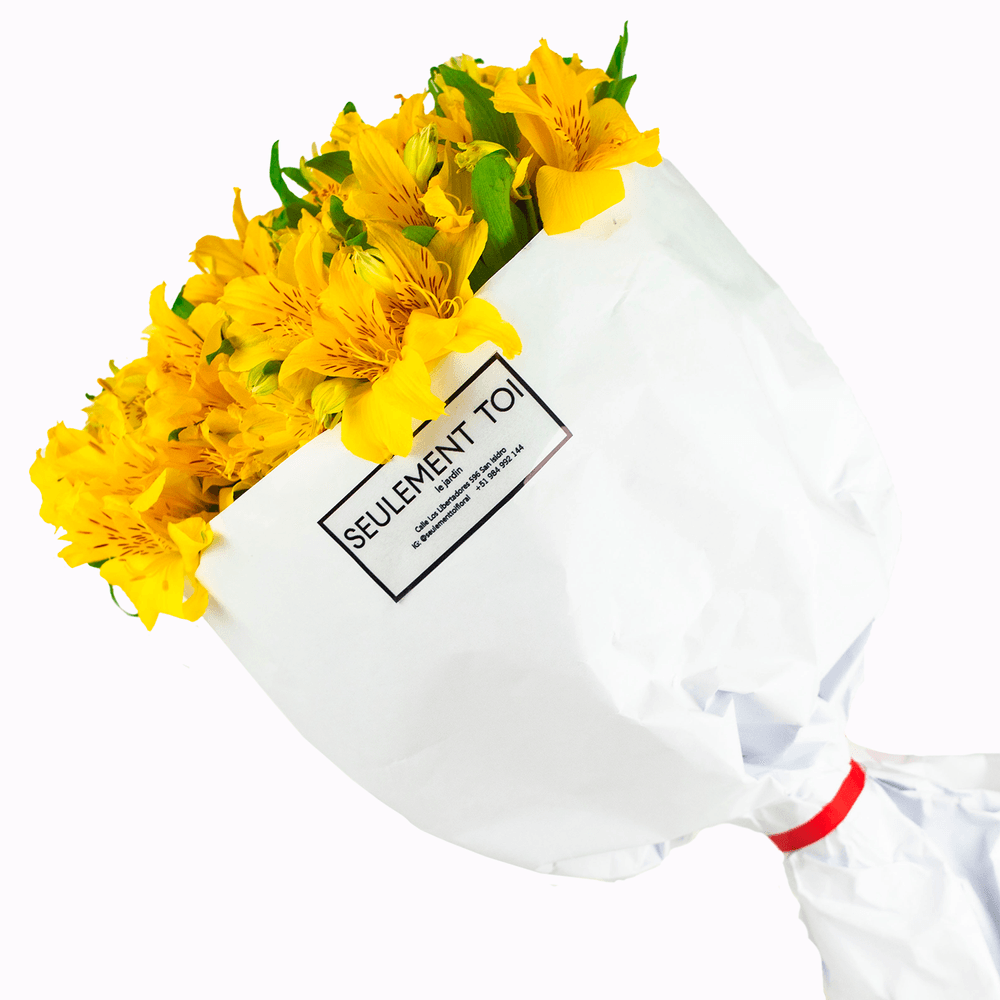 image-086aa37b6bbc4f899cef8193bf873726 image-086aa37b6bbc4f899cef8193bf873726