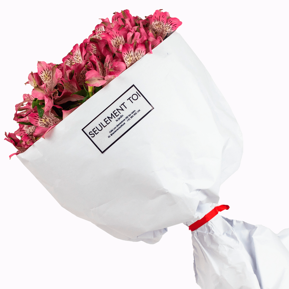 image-f9643d84ae1c40eb8d48a0b977ecb185 image-f9643d84ae1c40eb8d48a0b977ecb185