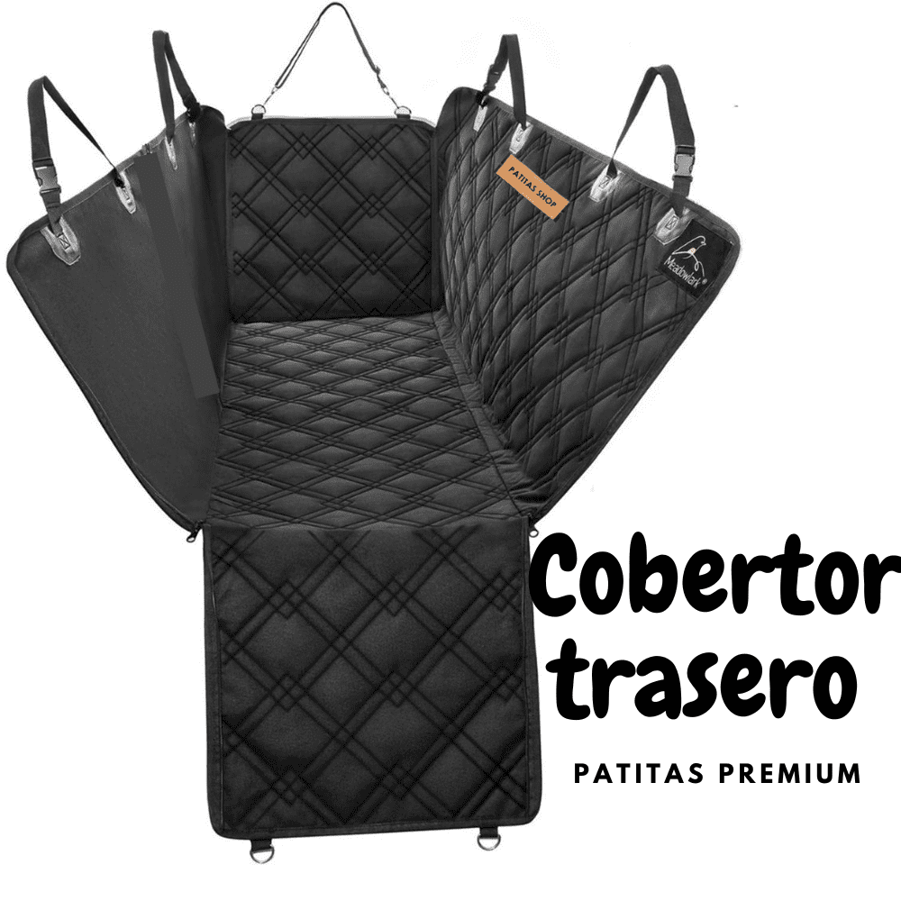 image-ba3225b01eef4cf787b918a36109410d image-ba3225b01eef4cf787b918a36109410d