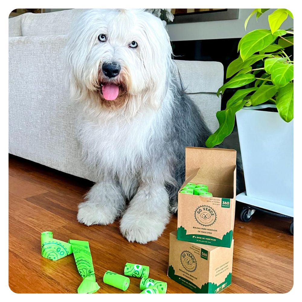 image-b38687681ef946eaa7e09de925652411 image-b38687681ef946eaa7e09de925652411