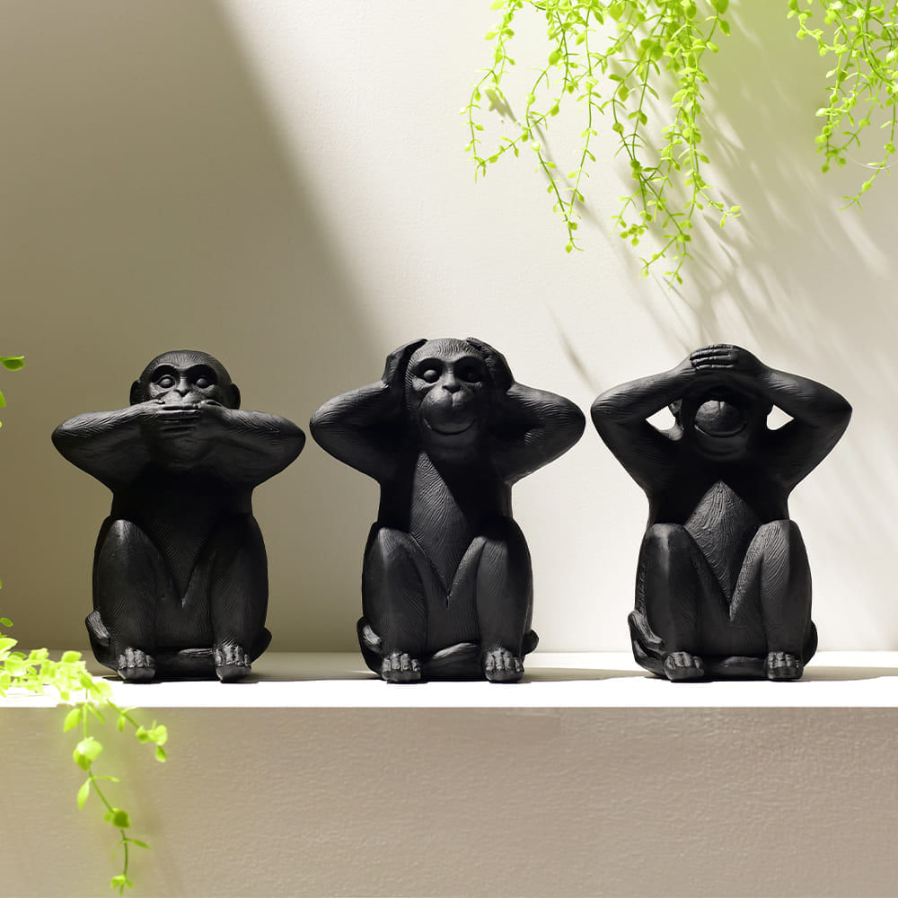 image-2b2228338c2a4cff9e5d8555fb7aa0c1 image-2b2228338c2a4cff9e5d8555fb7aa0c1