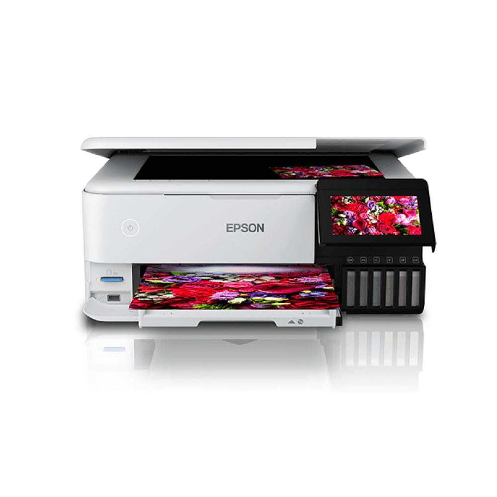 imageUrl_1 imageUrl_1