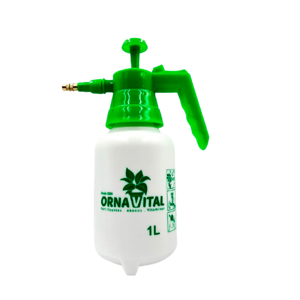 image-2ac009927ff649629bd8714b797033a7 image-2ac009927ff649629bd8714b797033a7